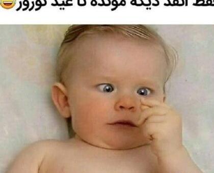 عکس نوشته عید فطر طنز