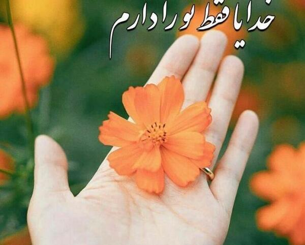 عکس نوشته خدا تورو بهم داد