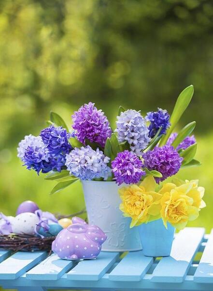 عکس سبزه و گل زیبا