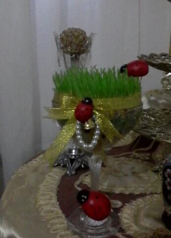 عکس سبزه ارزن