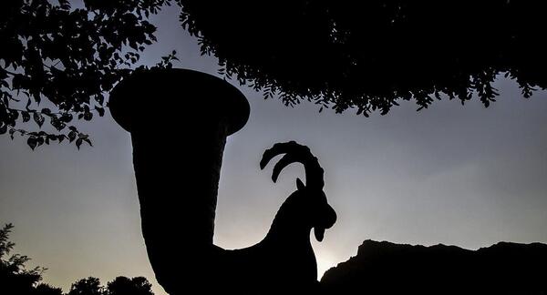 عکس سبزه فروشی