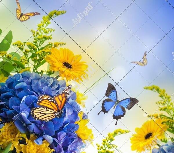 عکس سفره ارایی و تزیین غذا