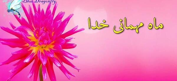 عکس تبریک روز معلم به جاری