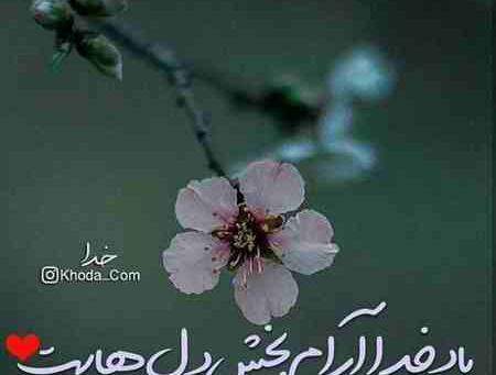 عکس نوشته یاد خدا آرامش دلهاست