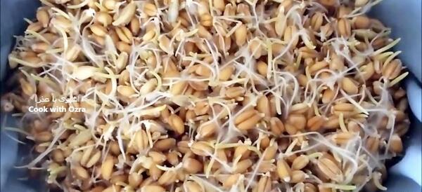 عکس سبزه سمنو