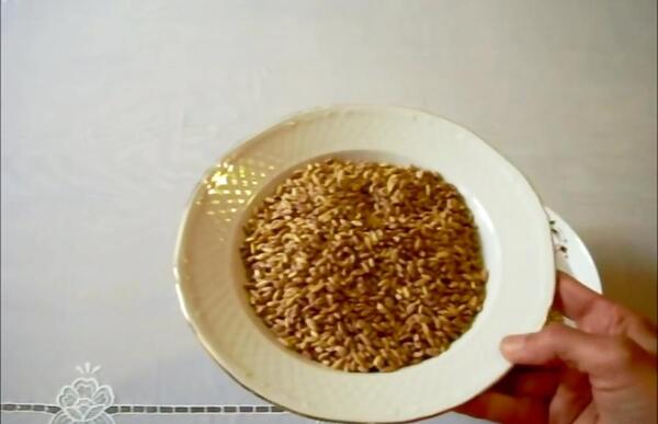 عکس سبزه سمنو