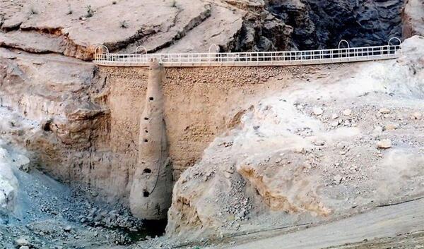 عکس سبزه در آب