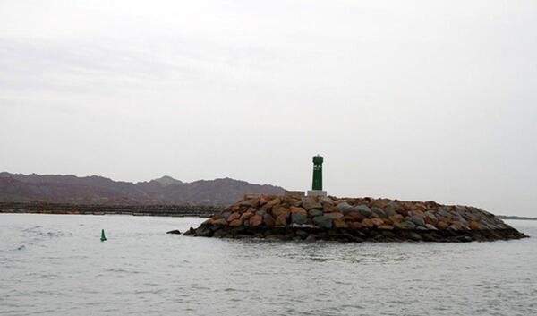 عکس سبزه در آب