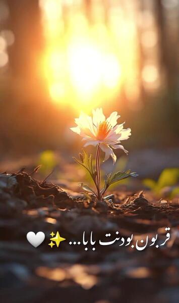 عکس تبریک روز مرد به معلم