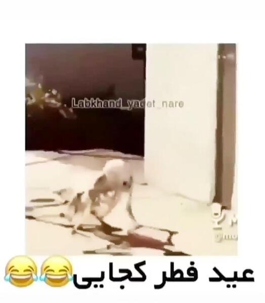 عکس طنز عید فطر مبارک