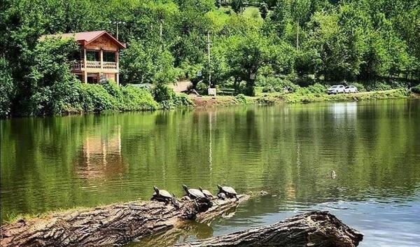 عکس ساحل گیسو
