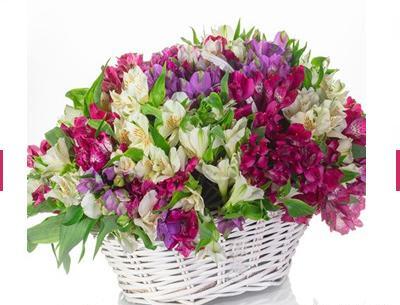 عکس گل برای تبریک روز معلم