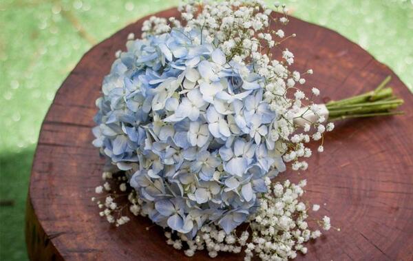 عکس گل برای تبریک روز معلم