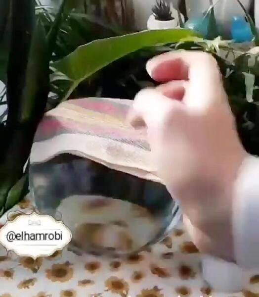 عکس سبزه لیمو شیرین