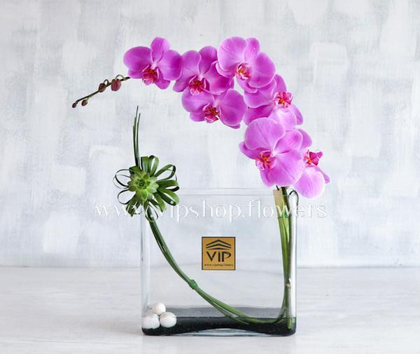 عکس دسته گل برای تبریک روز معلم