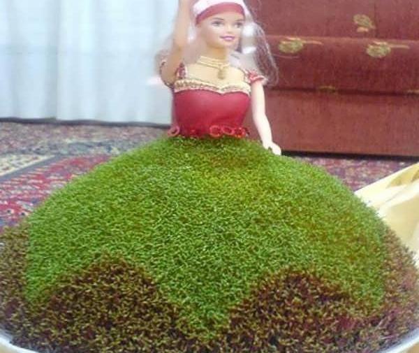 عکس سبزه هفت سین جدید