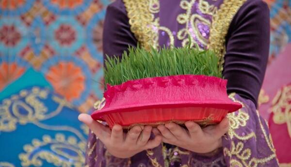 عکس سبزه هفت سین جدید