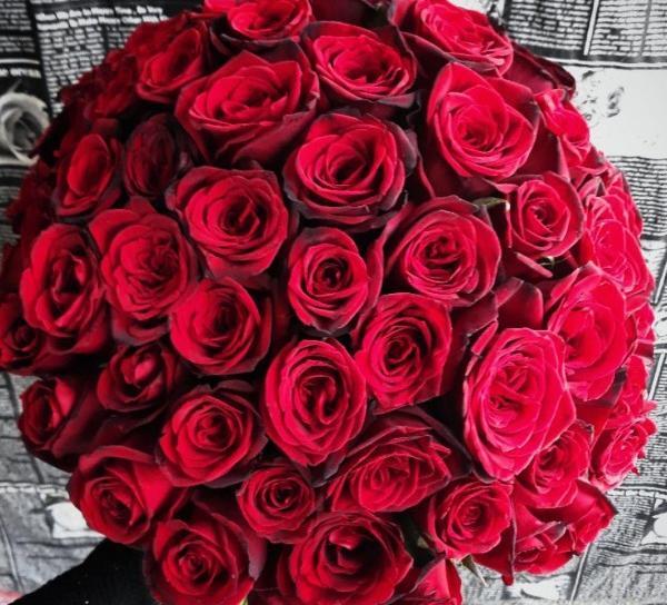 یک عکس زیبا برای تبریک روز معلم