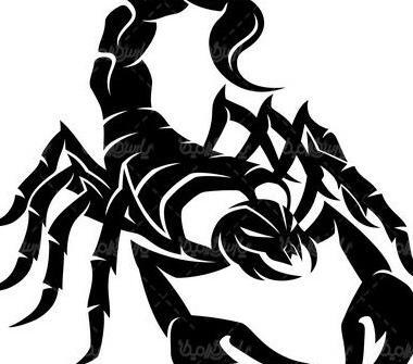 عکس نقاشی عقرب