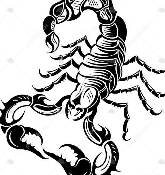 عکس نقاشی عقرب