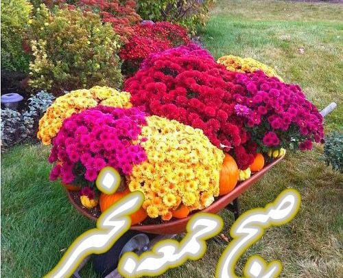 عکس نوشته صبح بخیر زیبا ی جمعه