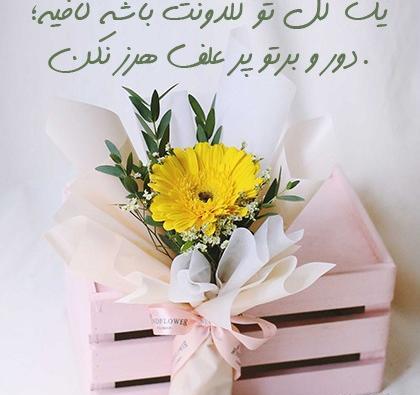 عکس تبریک عید فطر به همسر