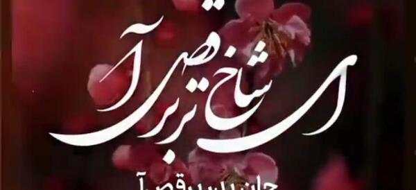 عکس عید فطر مبارک عزیزم