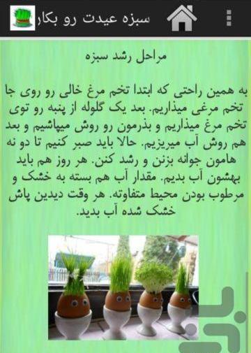 عکس سبزه قره ماش