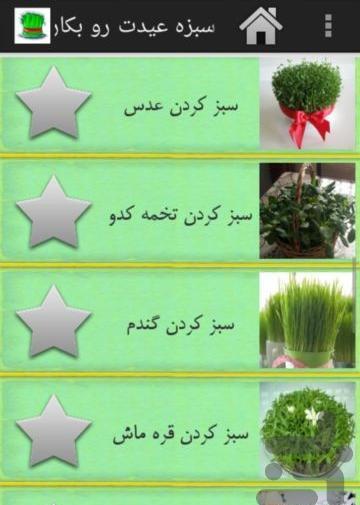 عکس سبزه قره ماش