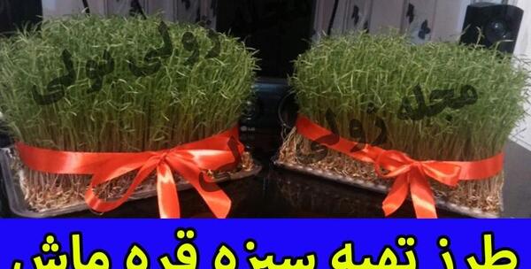 عکس سبزه قره ماش