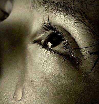 عکس سبزه زار زیبا