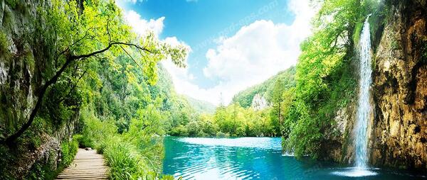 عکس سبزه زار زیبا