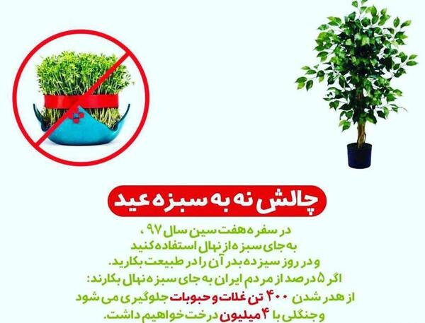 عکس سبزه نی نی سایت