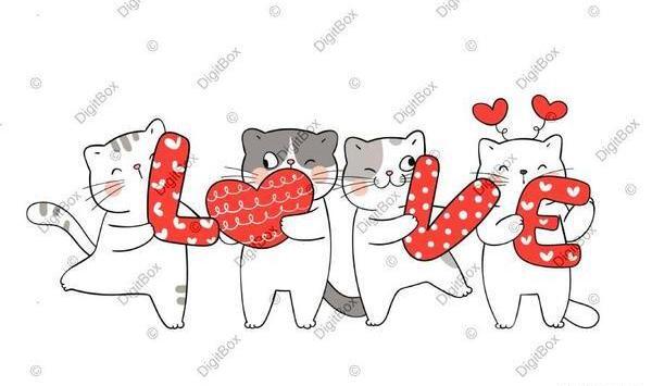 عکس نقاشی گربه ملوس