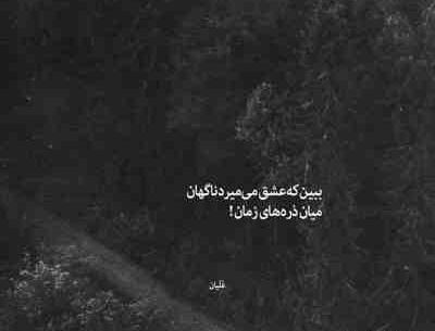 عکس نوشته گربه غمگین
