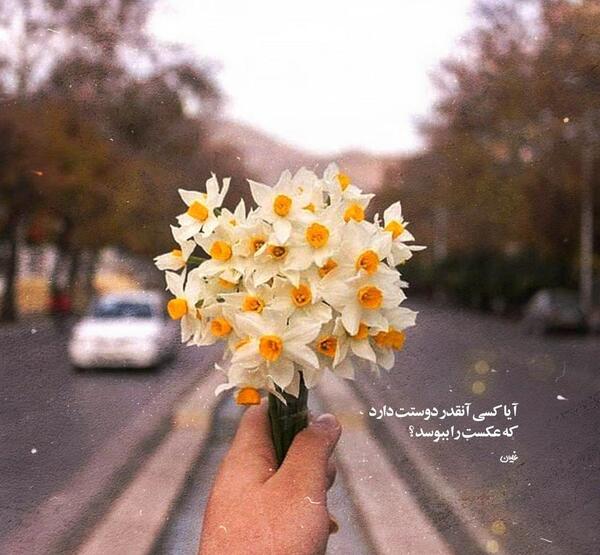 عکس نوشته گربه غمگین