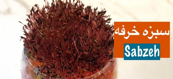 عکس سبزه خرفه