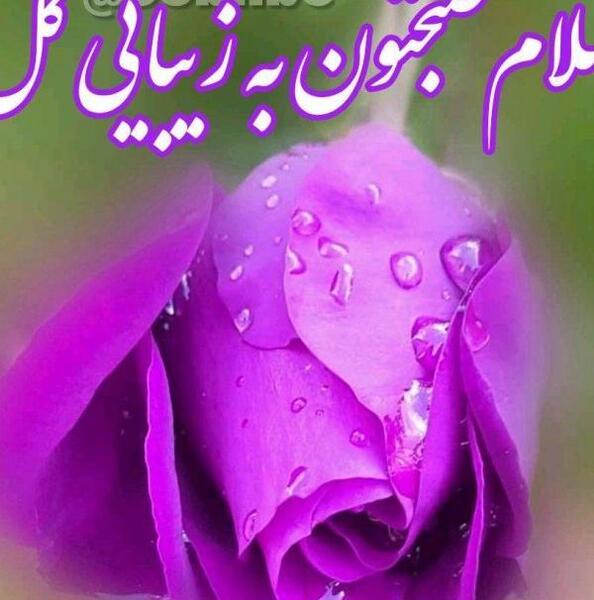 عکس نوشته صبح بخیر برای دوست