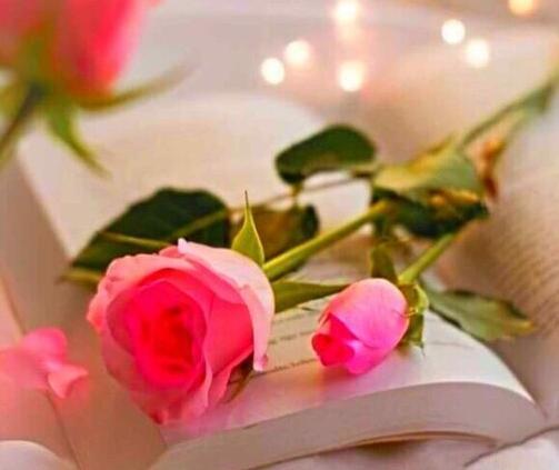 عکس های گل گیسو