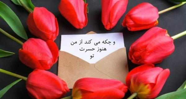 عکس های گل گیسو