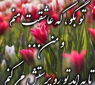 عکس های گل گیسو