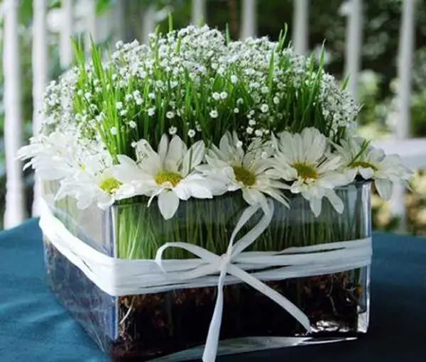 عکس سبزه فانتزی