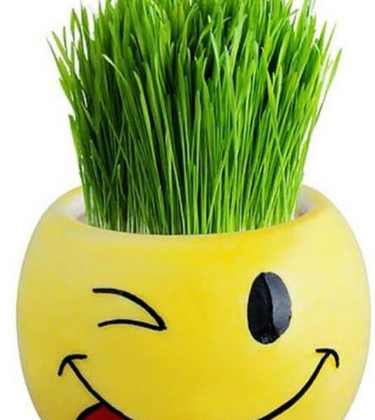 عکس سبزه فانتزی
