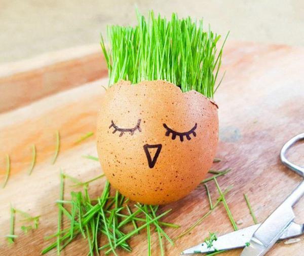 عکس سبزه فانتزی