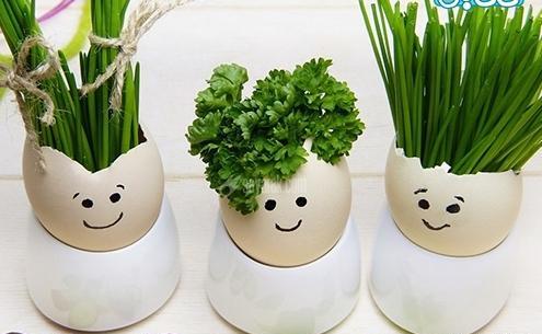 عکس سبزه فانتزی