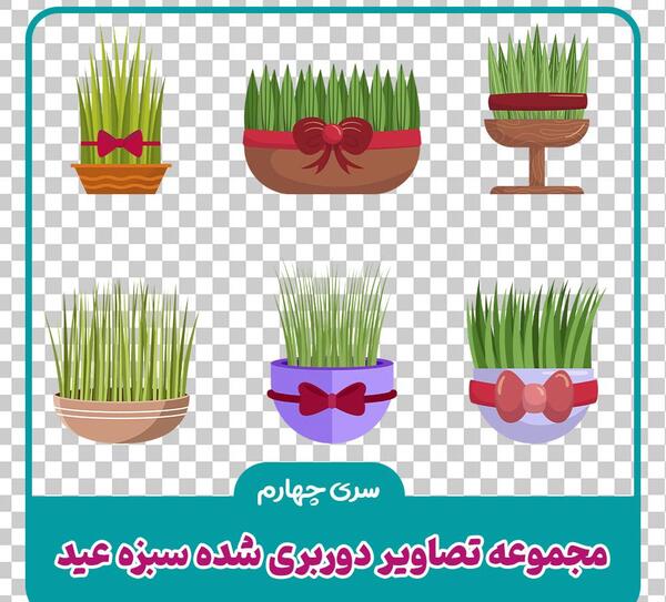 عکس سبزه فانتزی