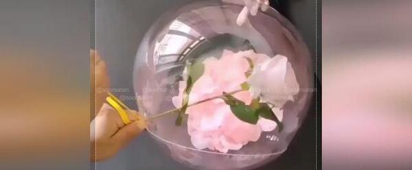 عکس دیزاین بادکنک ساده