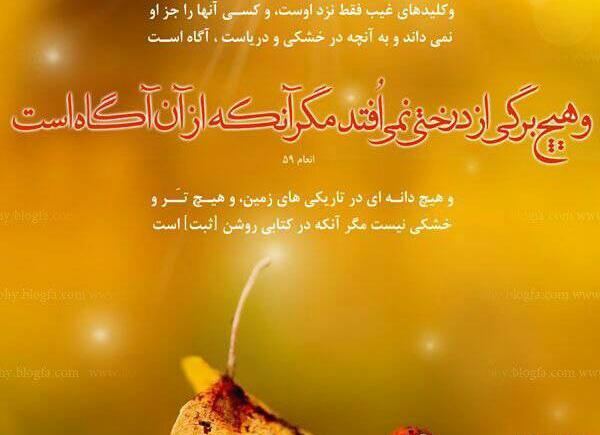 عکس نوشته عجب صبری خدا دارد سهراب سپهری