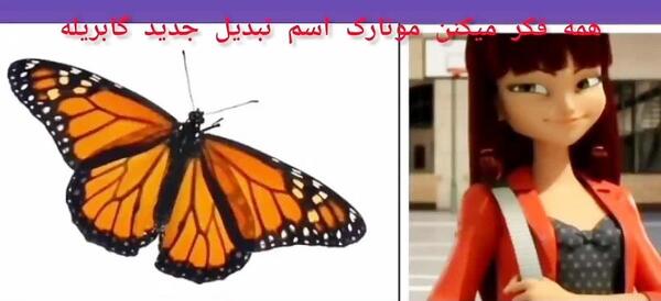 عکس پاریس عکس پاریس