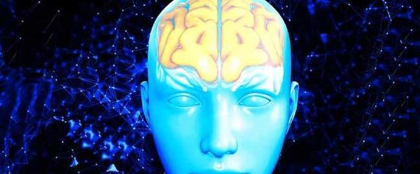 عکس از دیزاین غذا